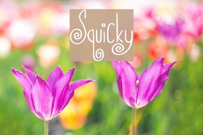 Squicky Font examples