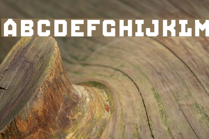 Squid Caps Schriftart examples