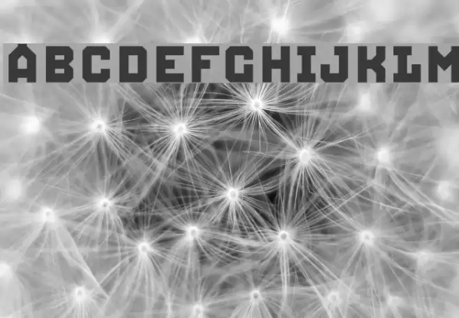 Squid Caps Schriftart examples