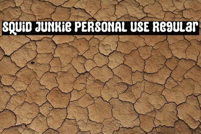 Squid Junkie PERSONAL USE Regular Example 1