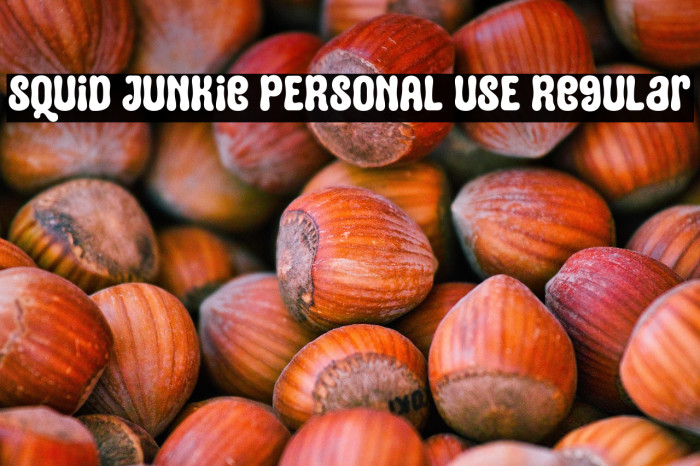 Squid Junkie PERSONAL USE Regular Example 2