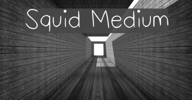 Squid Medium Font examples