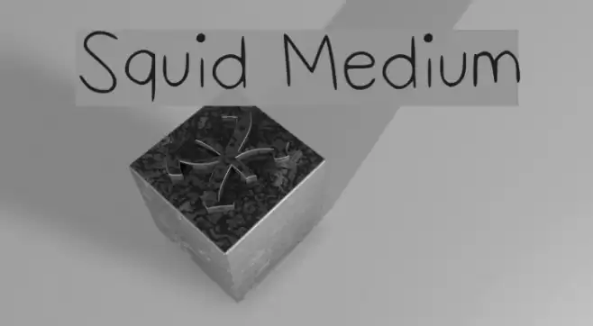 Squid Medium Font examples