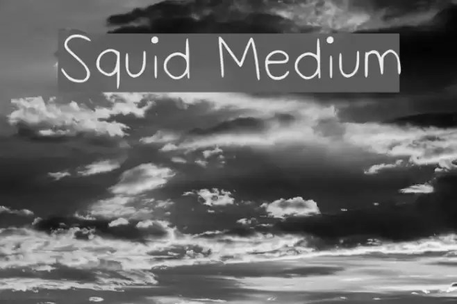 Squid Medium Font examples