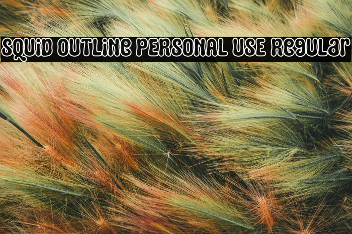 Squid Outline PERSONAL USE Regular Example 2
