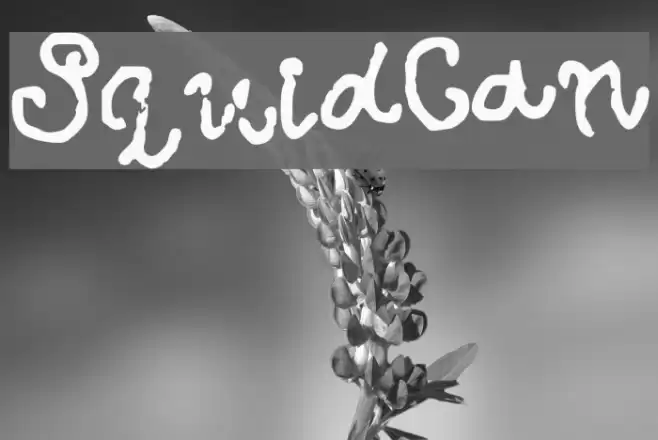 SquidCan Font examples