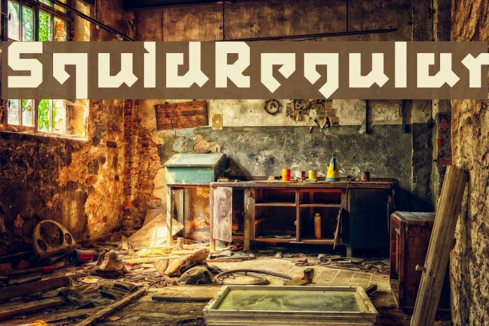SquidRegular Font examples