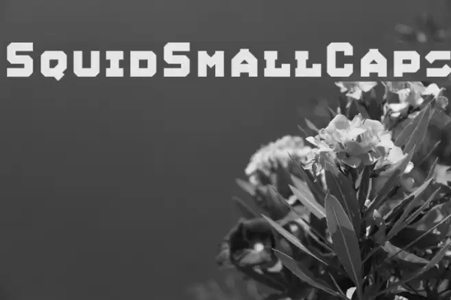 SquidSmallCaps Font examples