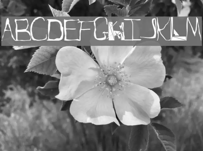 Squidgle Font examples