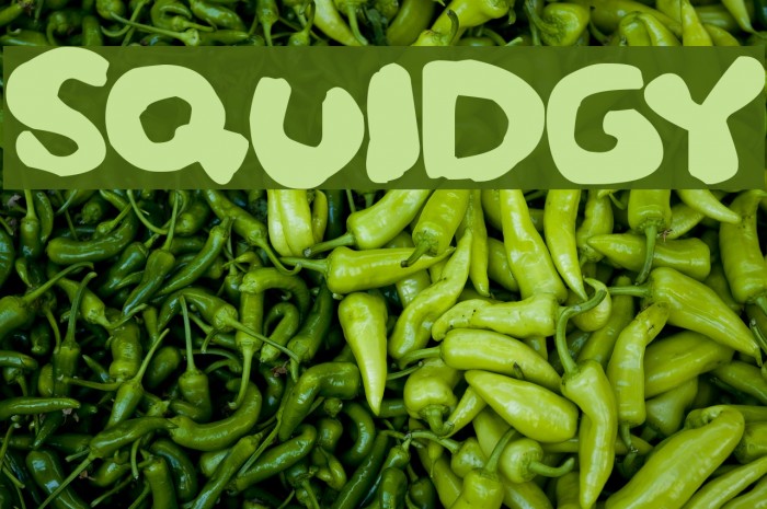 Squidgy Font - FFonts.net