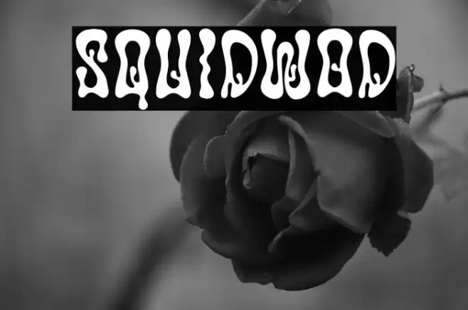 Squidwod Font examples