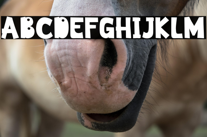 Squidy Club Example 1