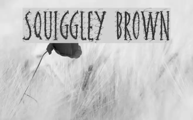 Squiggley Brown Font examples