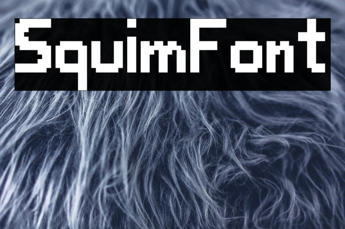 SquimFont Example 1