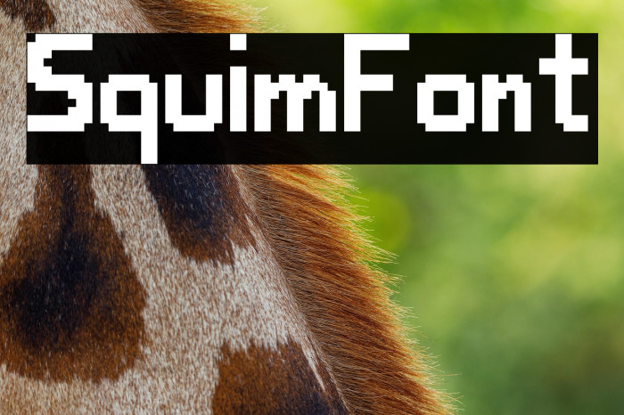 SquimFont Example 2