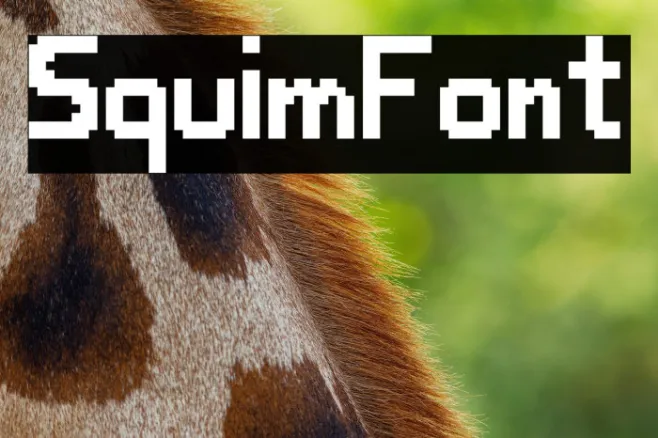 SquimFont Example 2