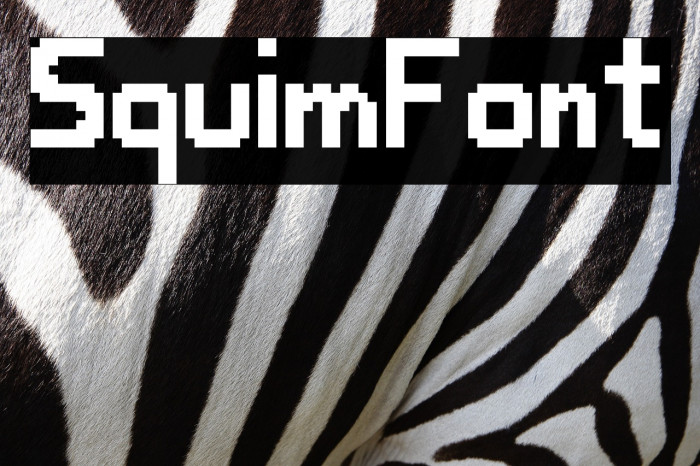 SquimFont Example 3