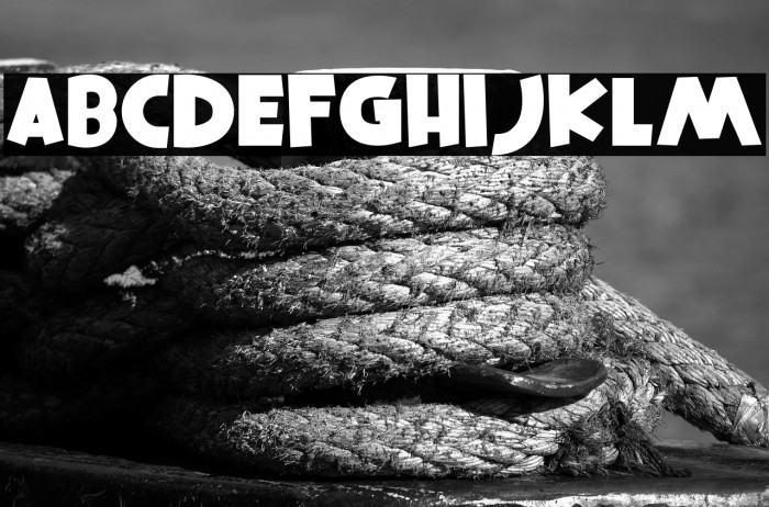 Squire Hawaii Regular Example 1