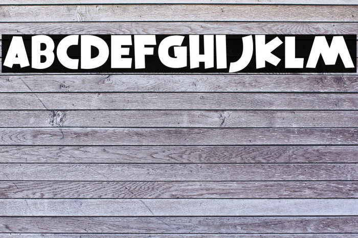 Squire Hawaii Regular Example 2