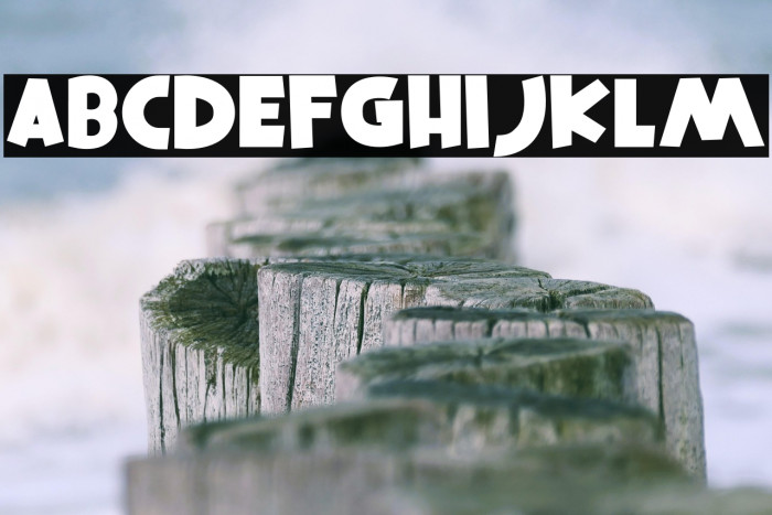 Squire Hawaii Regular Example 3