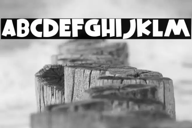 Squire Hawaii Regular Fonte examples