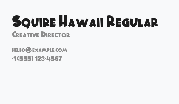 Squire Hawaii Regular Business Card