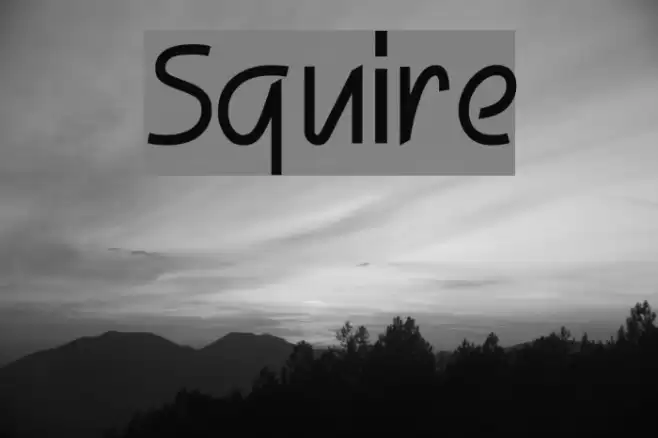 Squire Font examples