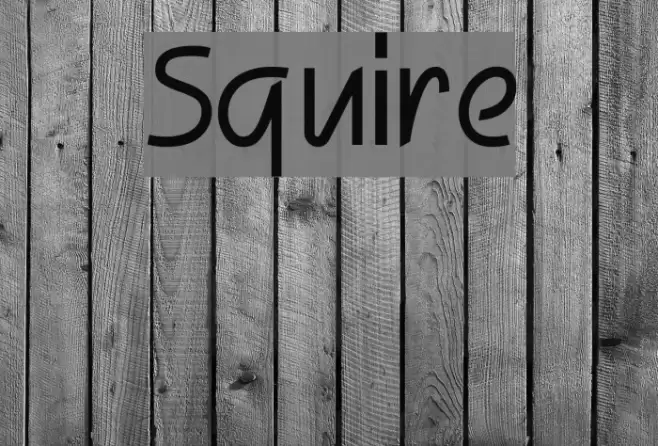 Squire Font examples