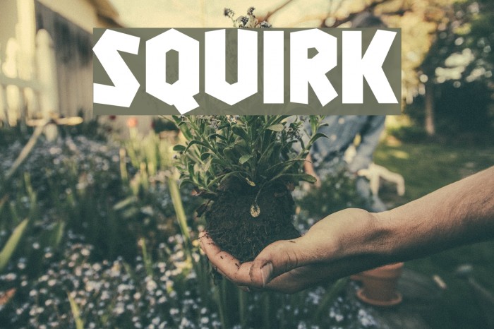 Squirk Example 3