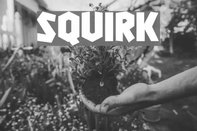 Squirk Font examples