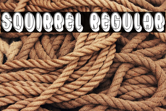 Squirrel Regular Example 1