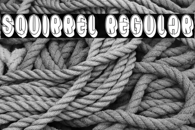 Squirrel Regular Font examples