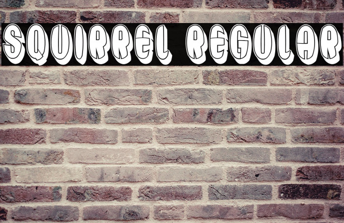 Squirrel Regular Example 2