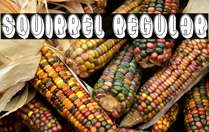 Squirrel Regular Example 3