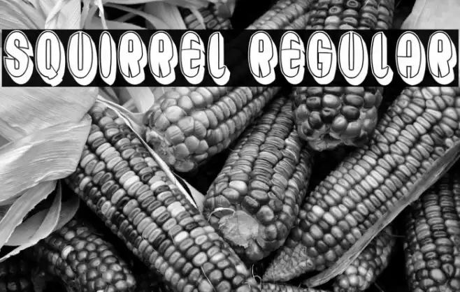 Squirrel Regular Font examples