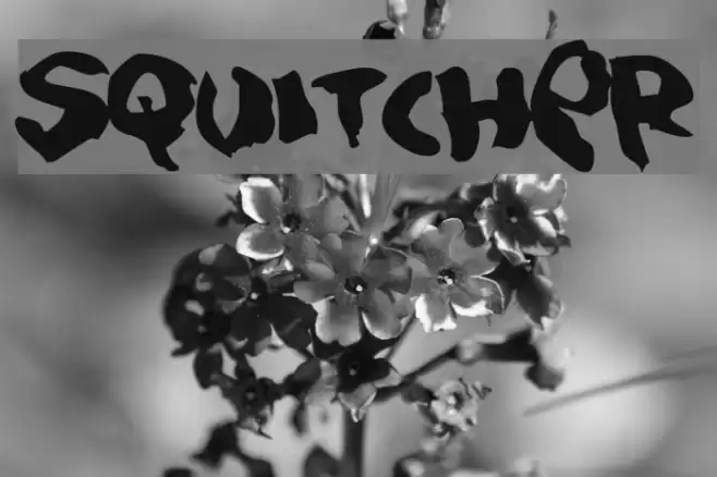 Squitcher Font examples