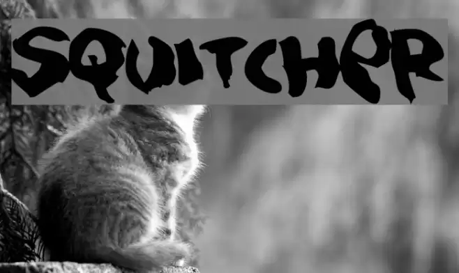 Squitcher Font examples