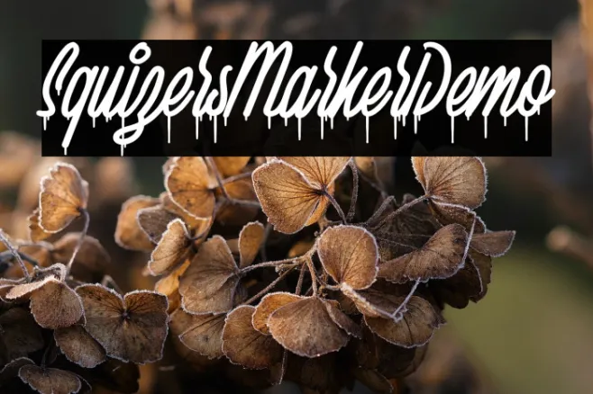 SquizersMarkerDemo Example 1