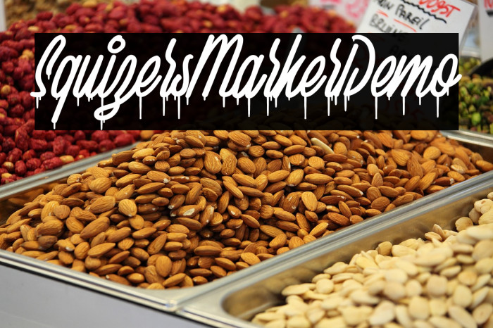 SquizersMarkerDemo Example 2