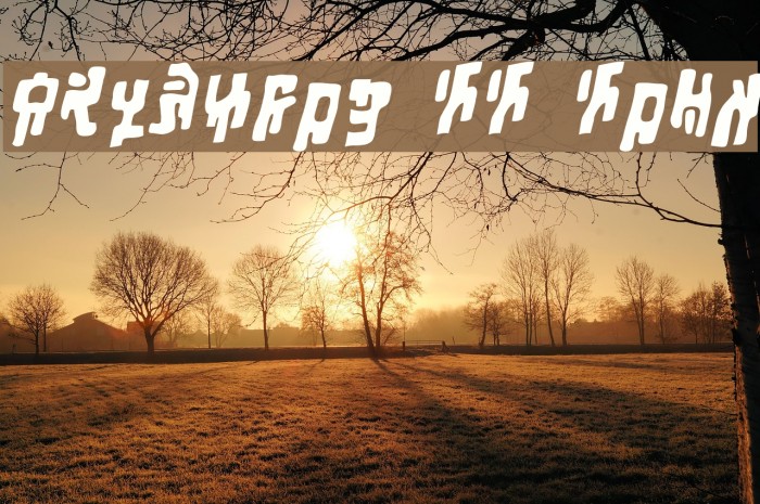 Squiznor BB Bold Example 1