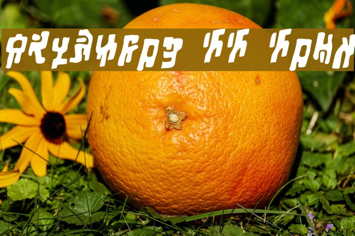 Squiznor BB Bold Example 2