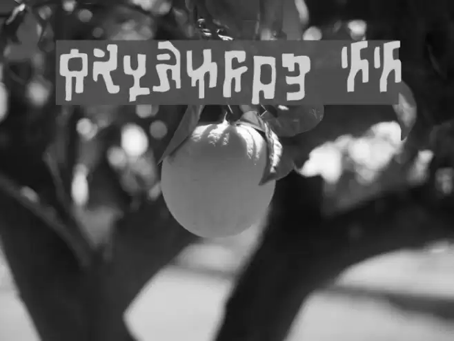 Squiznor BB Font examples