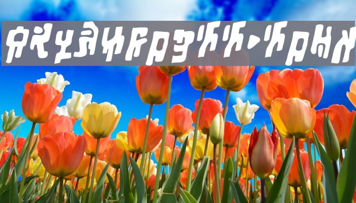 SquiznorBB-Bold Example 2