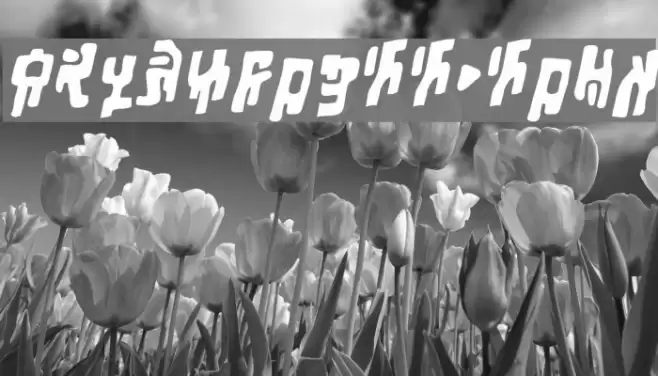 SquiznorBB-Bold Font examples