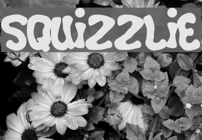 Squizzlie Font examples