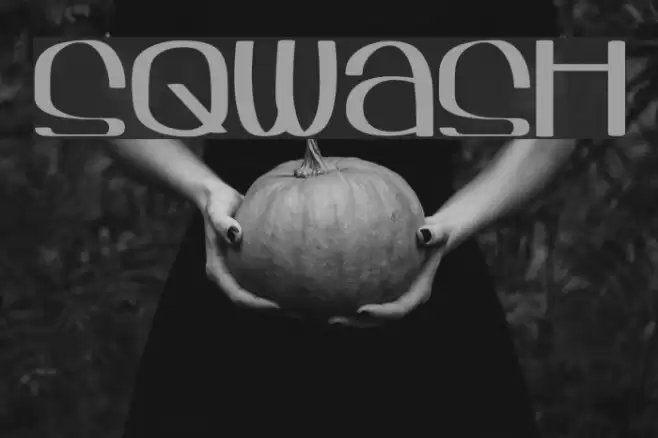 Sqwash Font examples