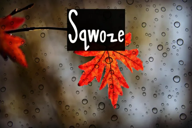 Sqwoze Example 1