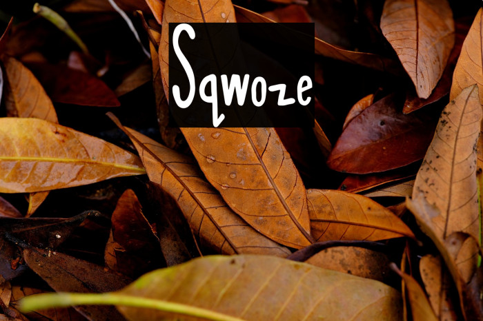 Sqwoze Example 2