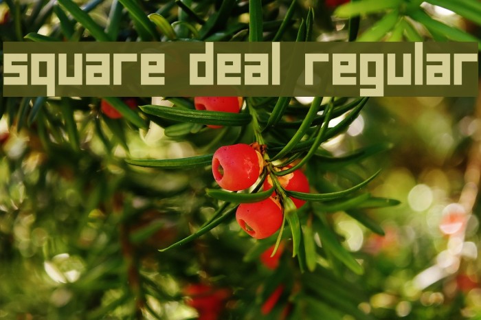 square deal Regular Font examples