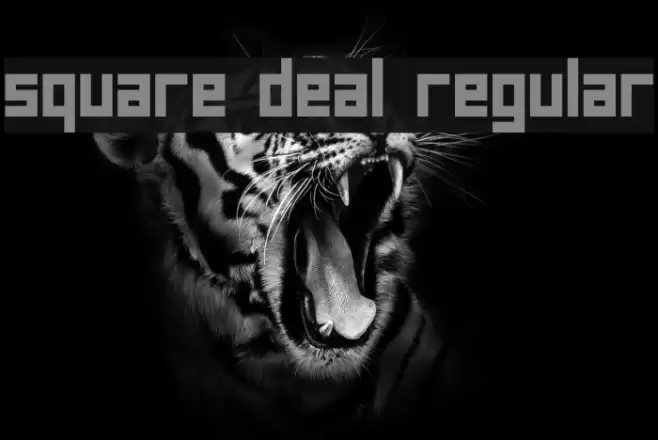 square deal Regular Font examples